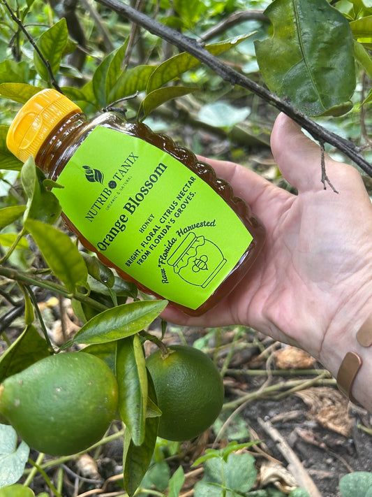 Orange Blossom Honey
