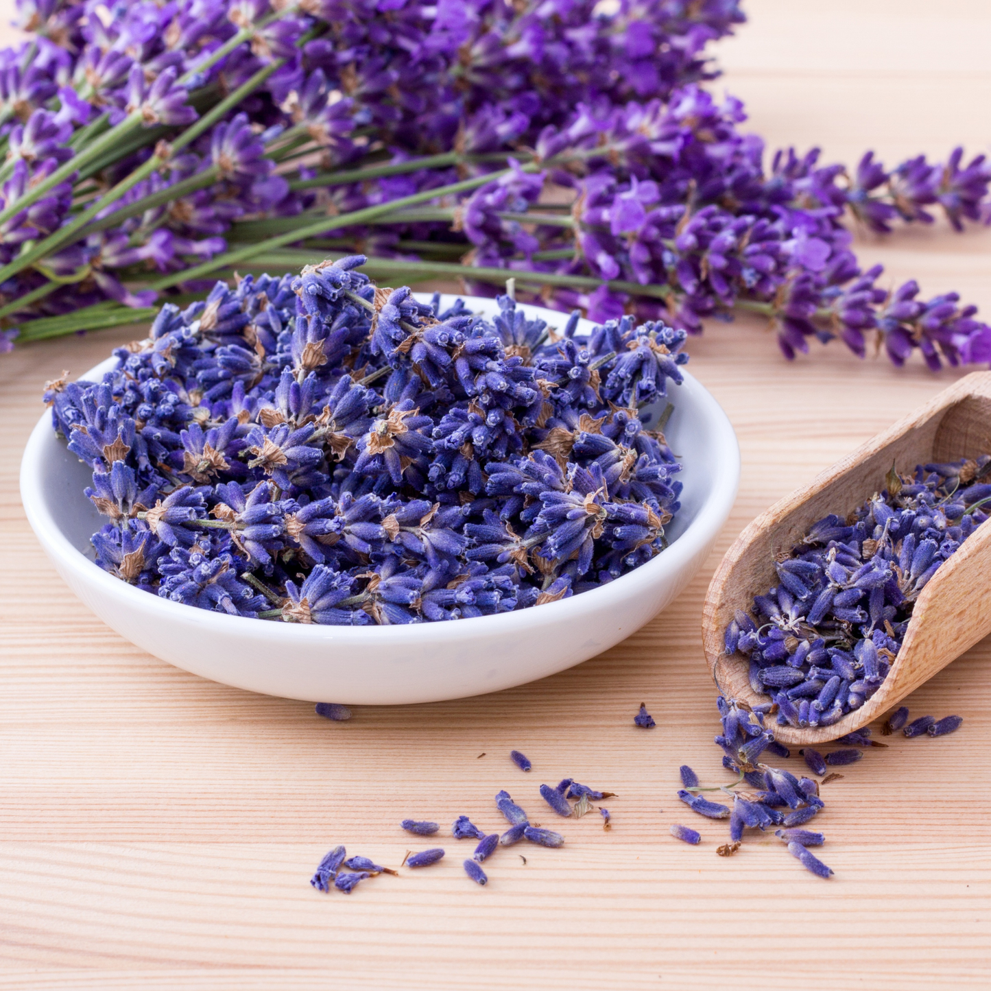 Lavender Flowers