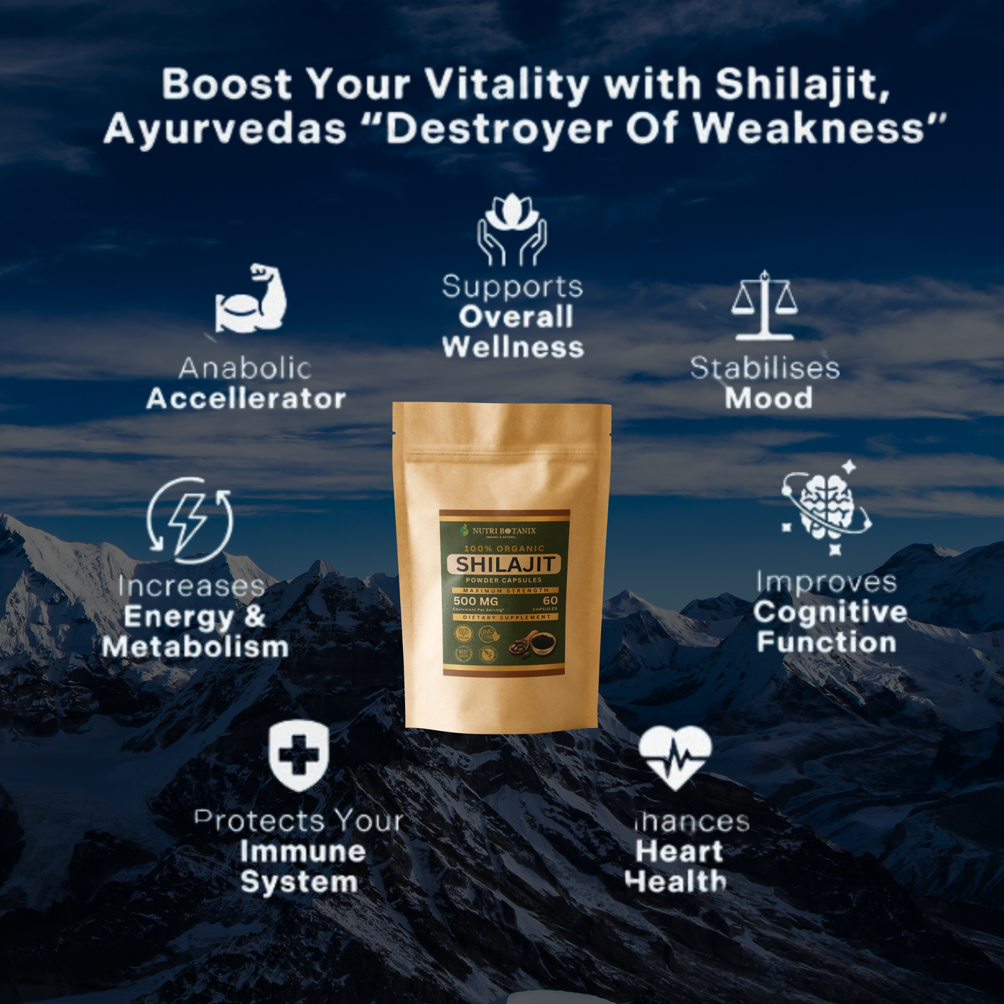 Shilajit Capsules
