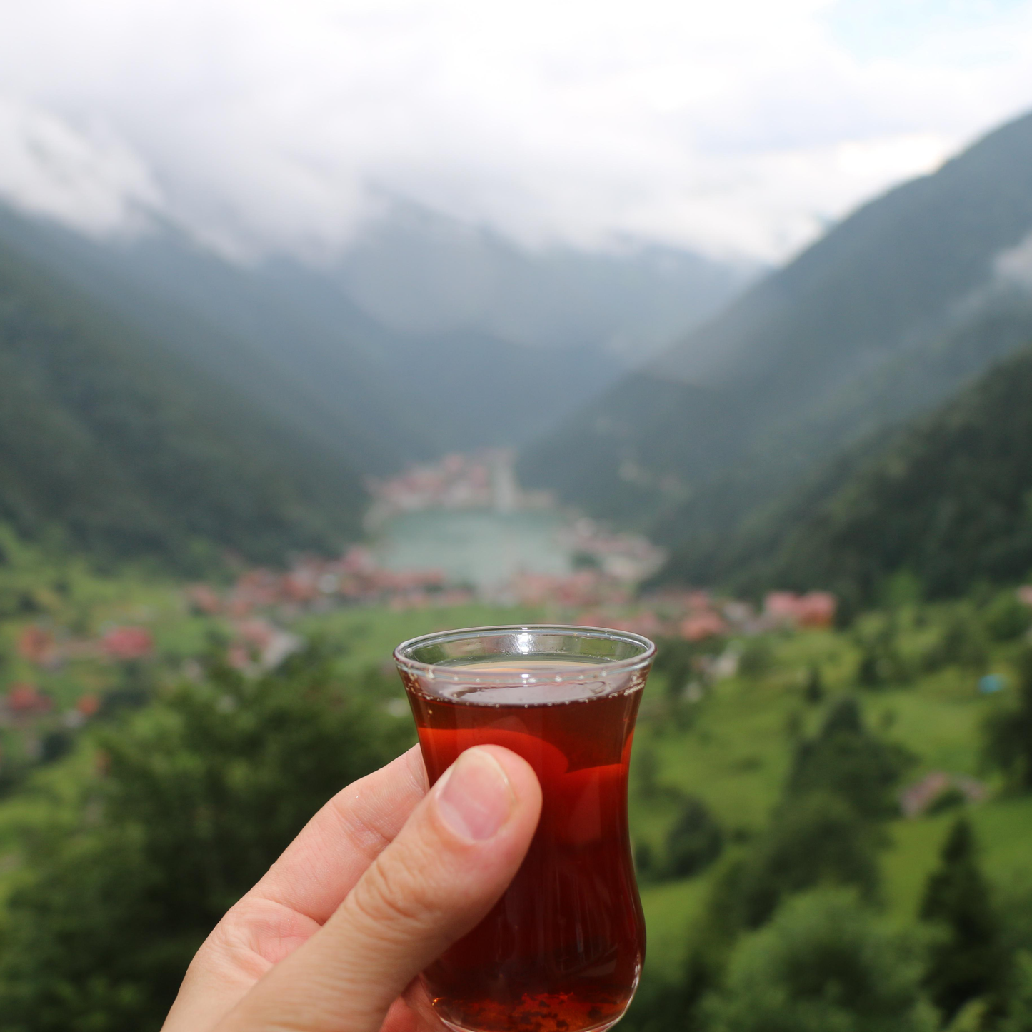 After We Feast Tea brewing – South Asian botanical tea tradition