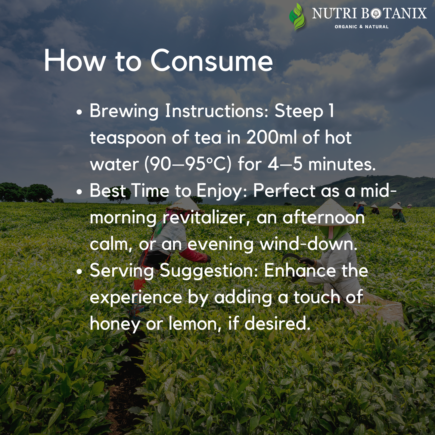 Sluggishness Crusher