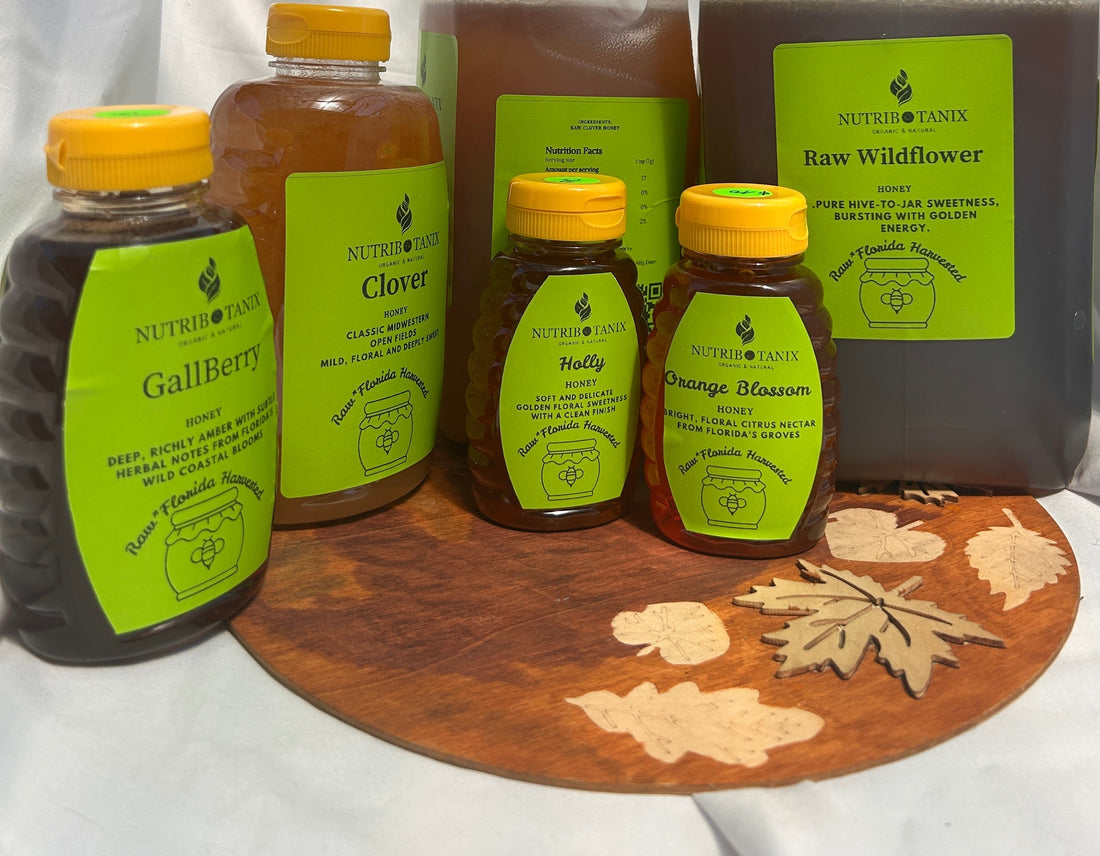 North Florida Gallberry honey from NutriBotanix