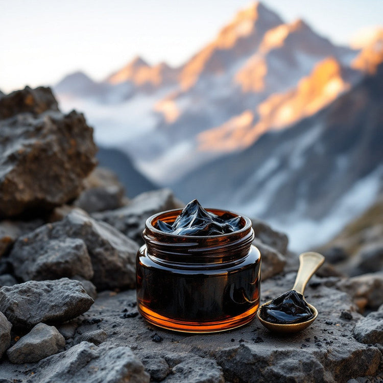 Himalayan Shilajit Collection