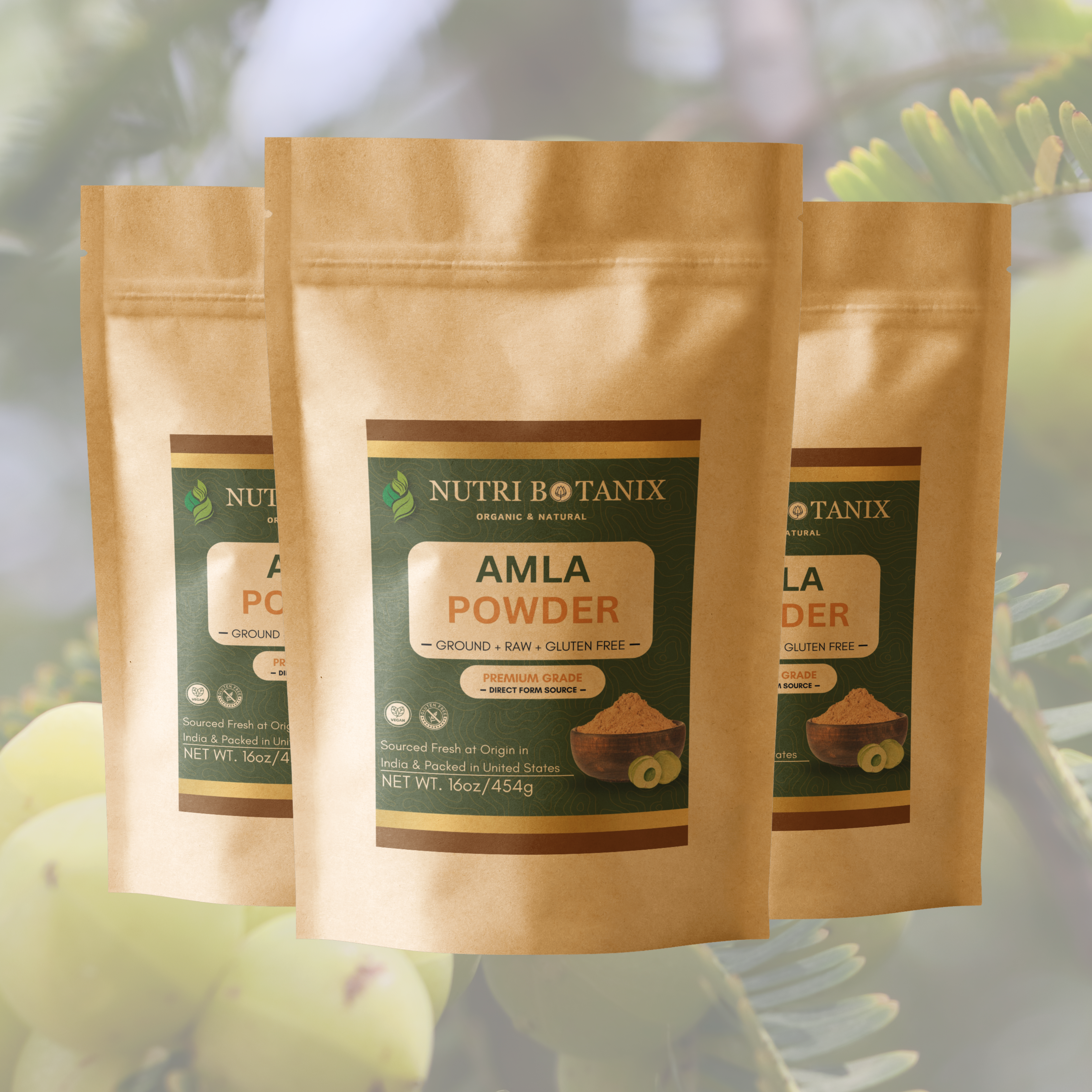 Amla Powder
