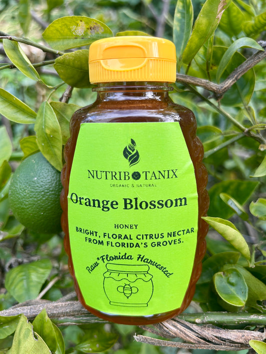Orange Blossom Honey