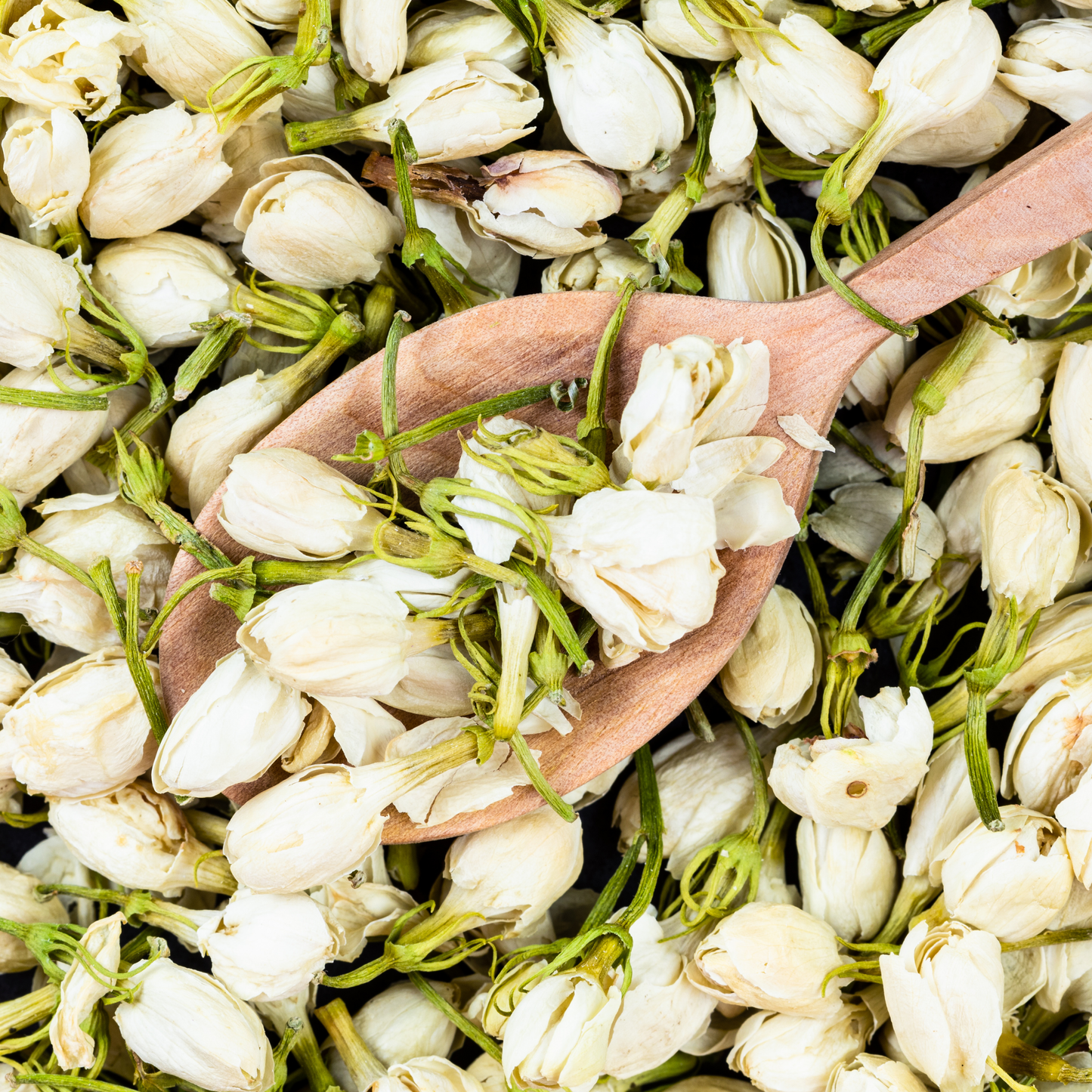 Jasmine Flowers