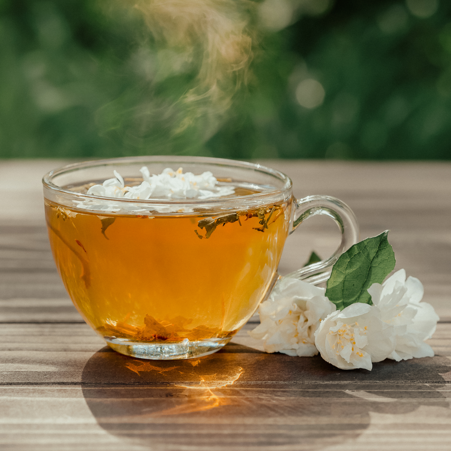 Jasmine Flowers