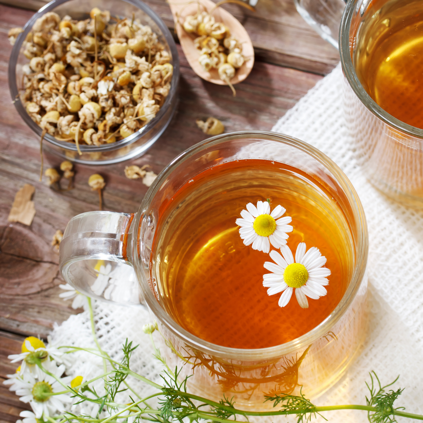 Chamomile Flower