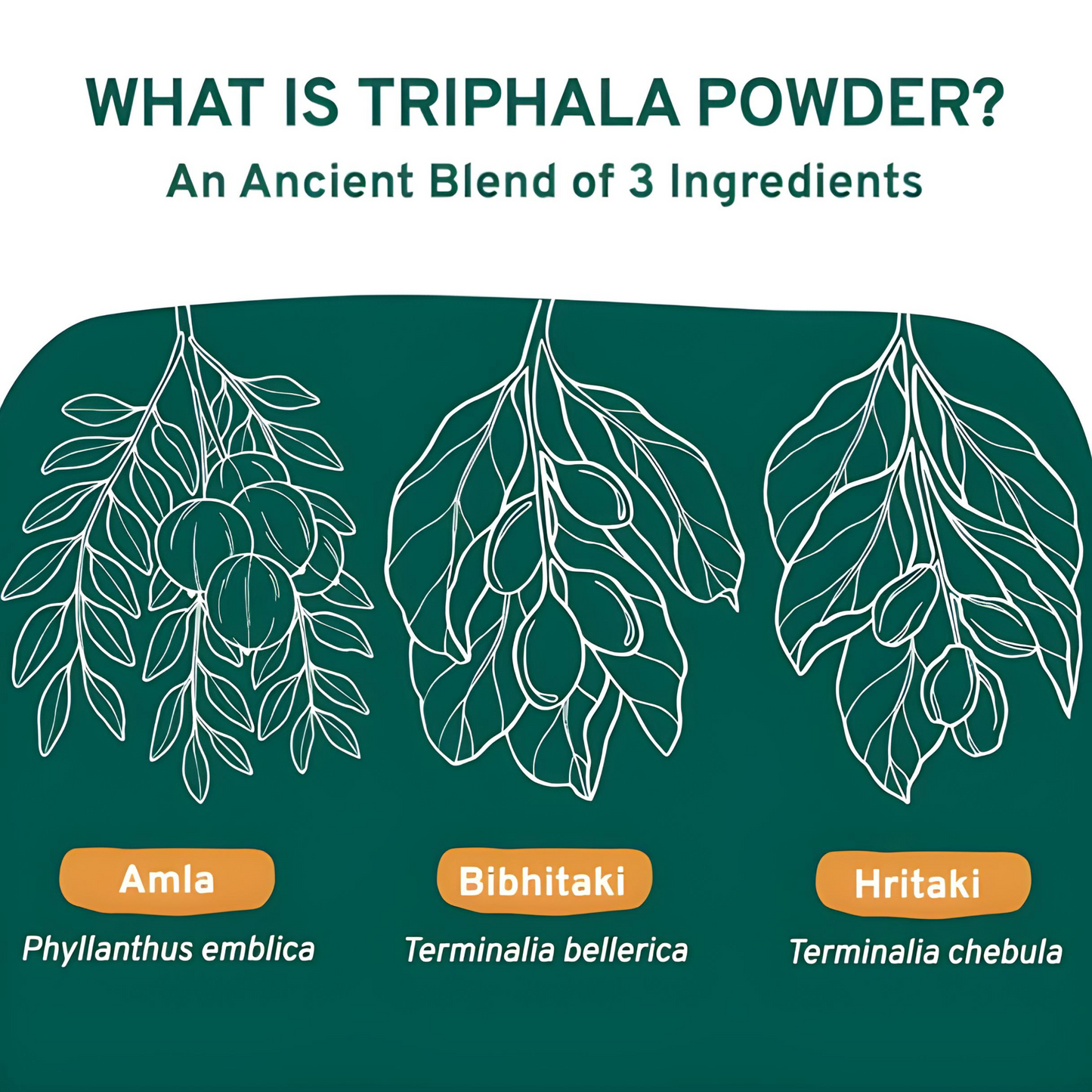 Triphala Powder