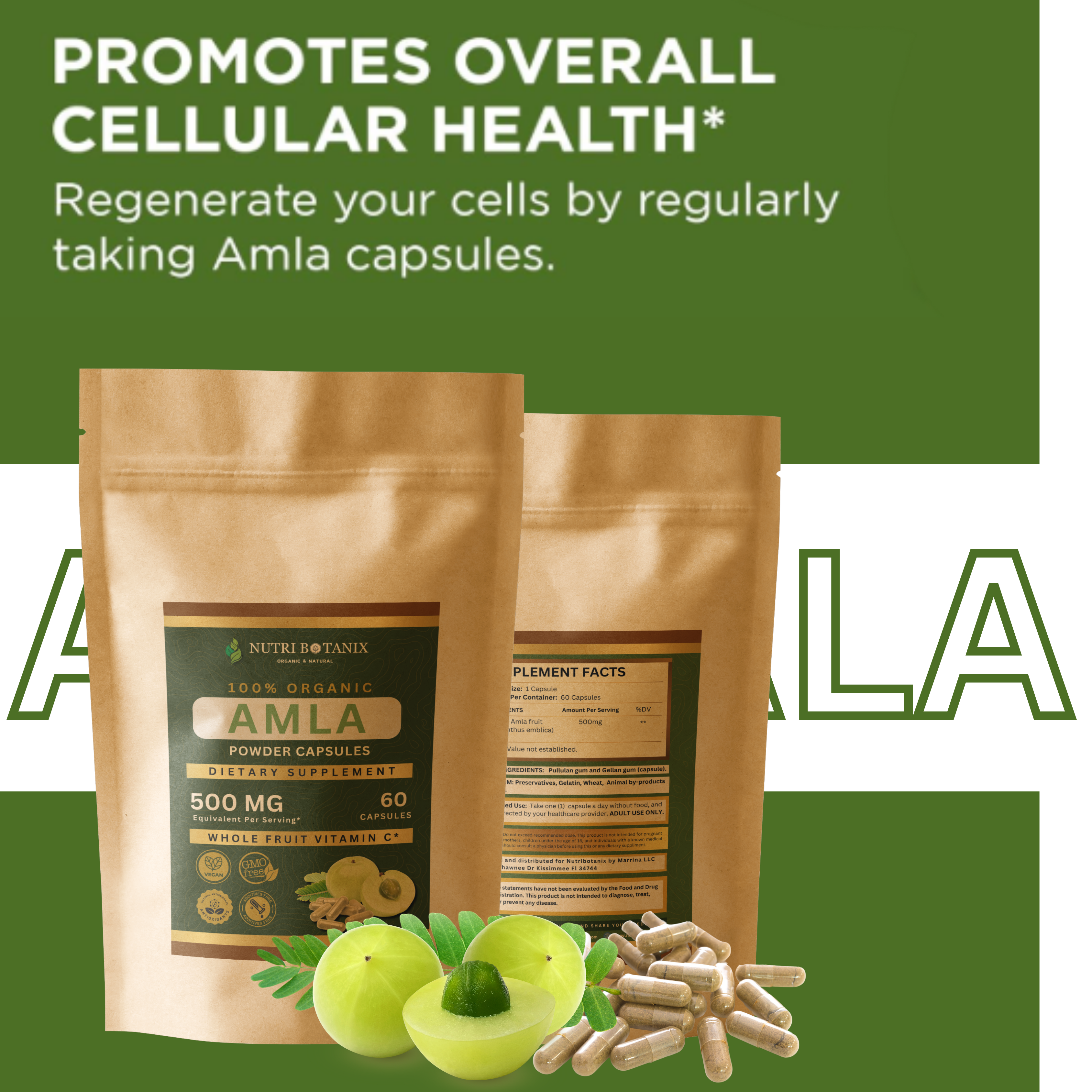 NutriBotanix Amla Capsules — Ayurvedic Rasayana botanical, pullulan capsule shell, organic Indian Gooseberry