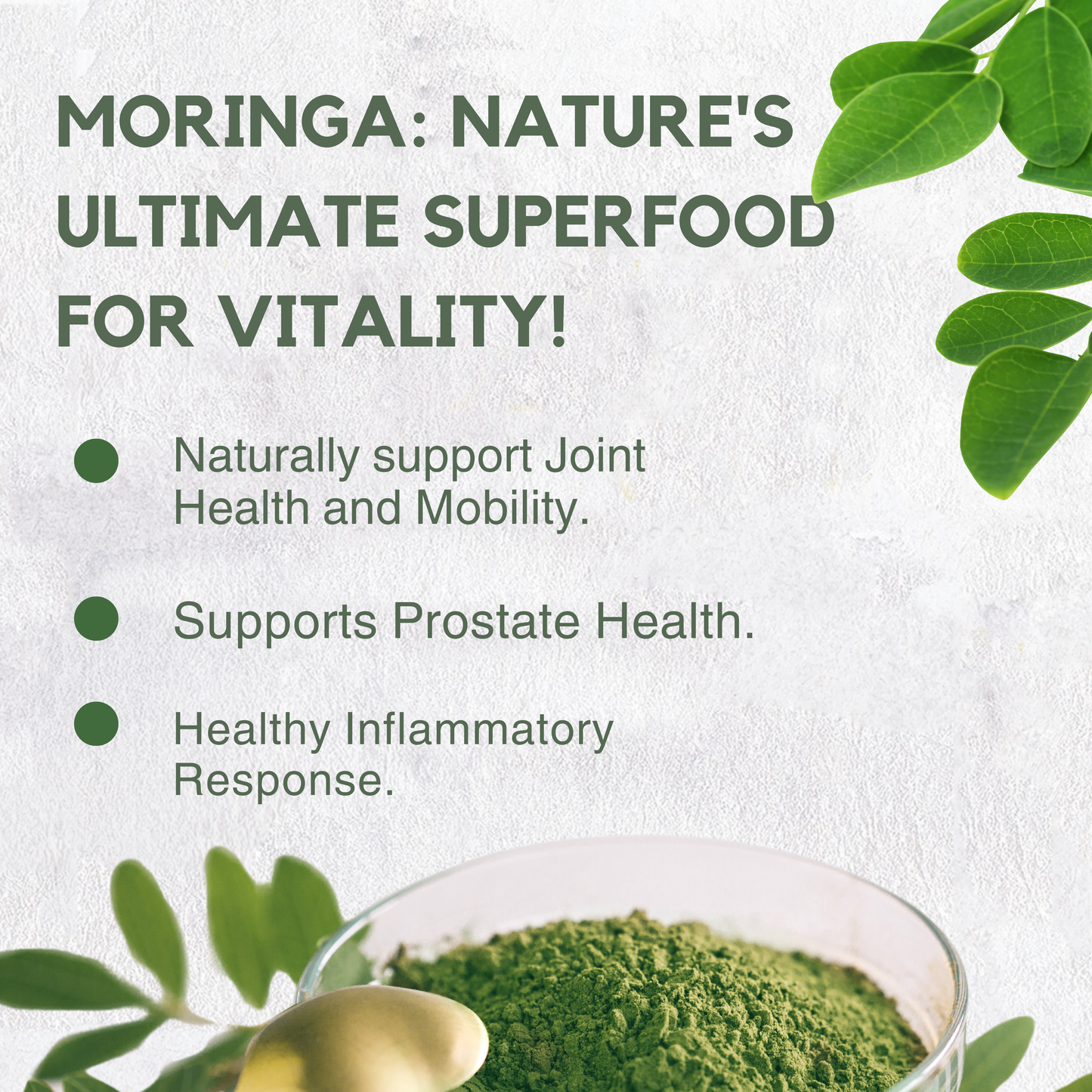 Moringa Powder