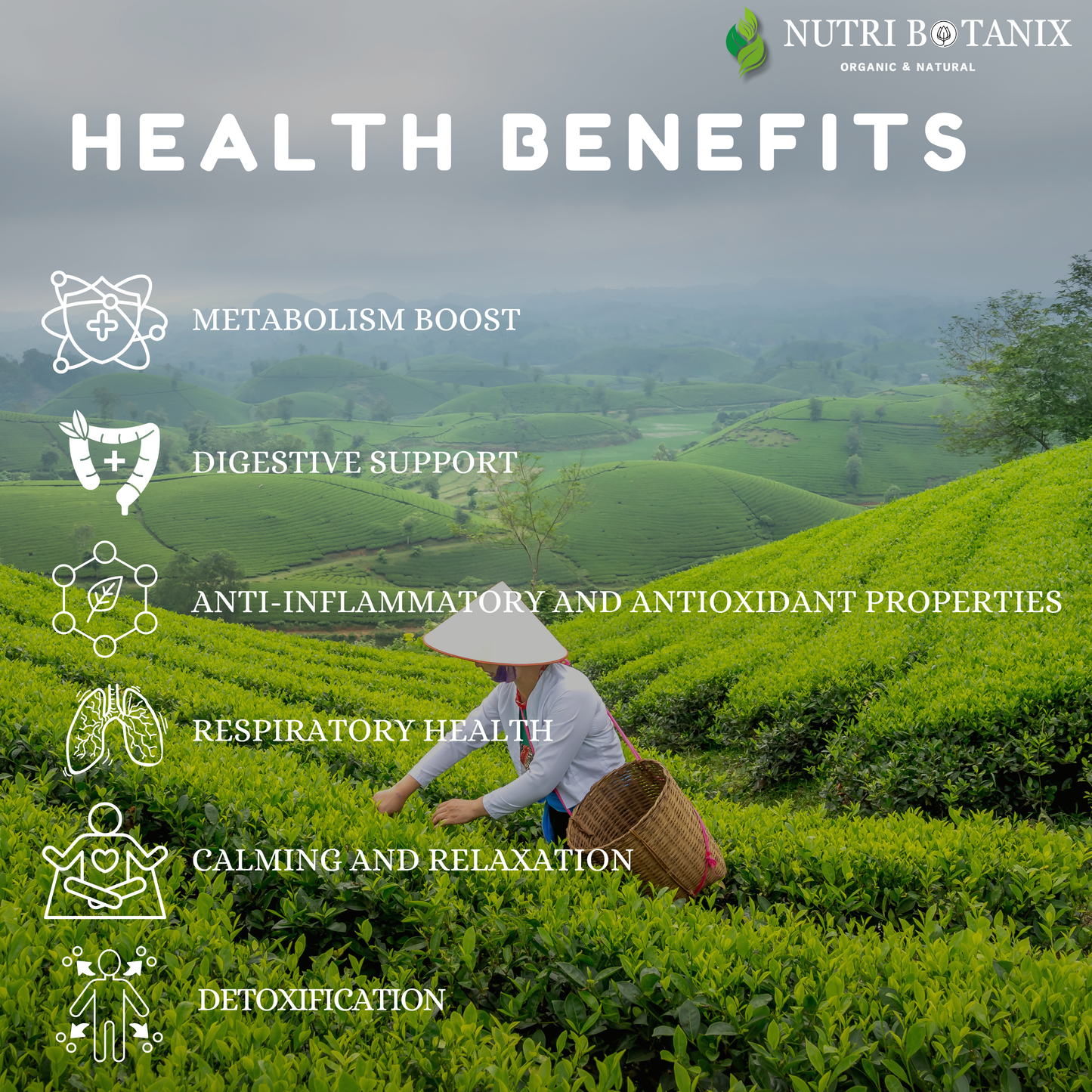NutriBotanix After We Feast Tea – Ayurvedic post-meal herbal tea blend