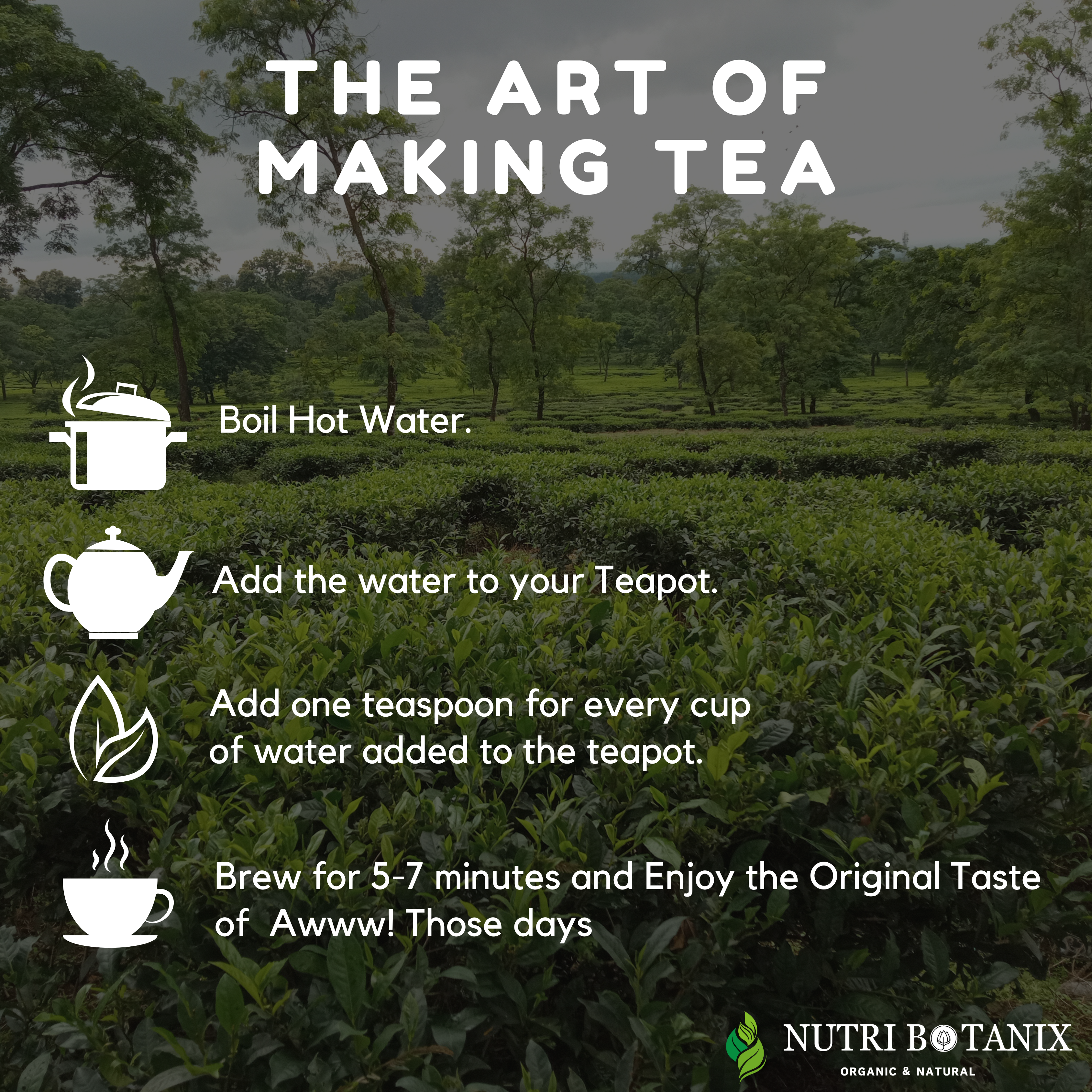 Awww! Those Days Tea — Shatavari, Lodhra, Ashoka, Tulsi, Spearmint, Fennel, Ginger, Cinnamon, Fenugreek botanical blend