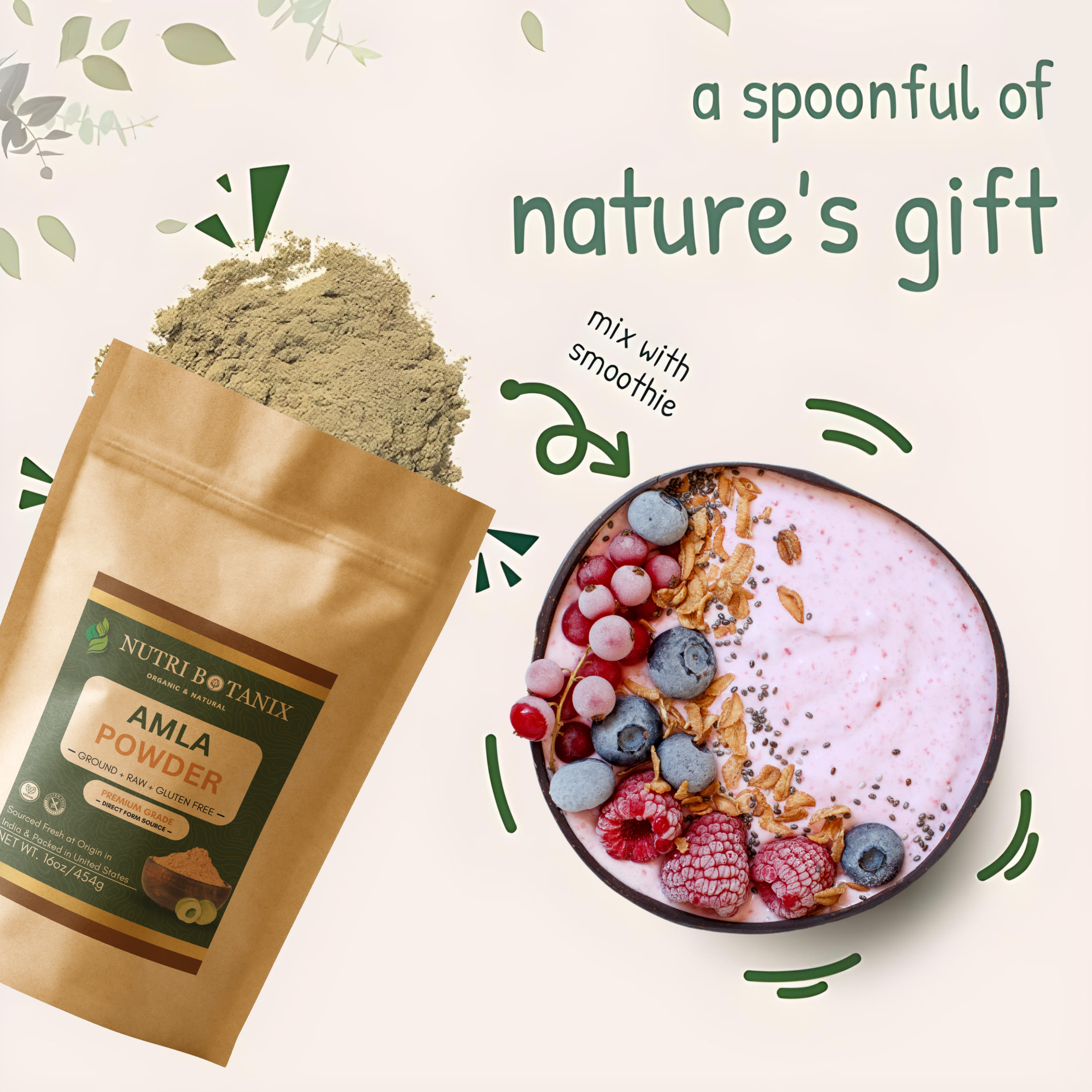 Amla Powder