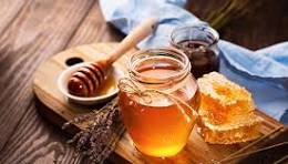 NutriBotanix Florida Wildflower Honey