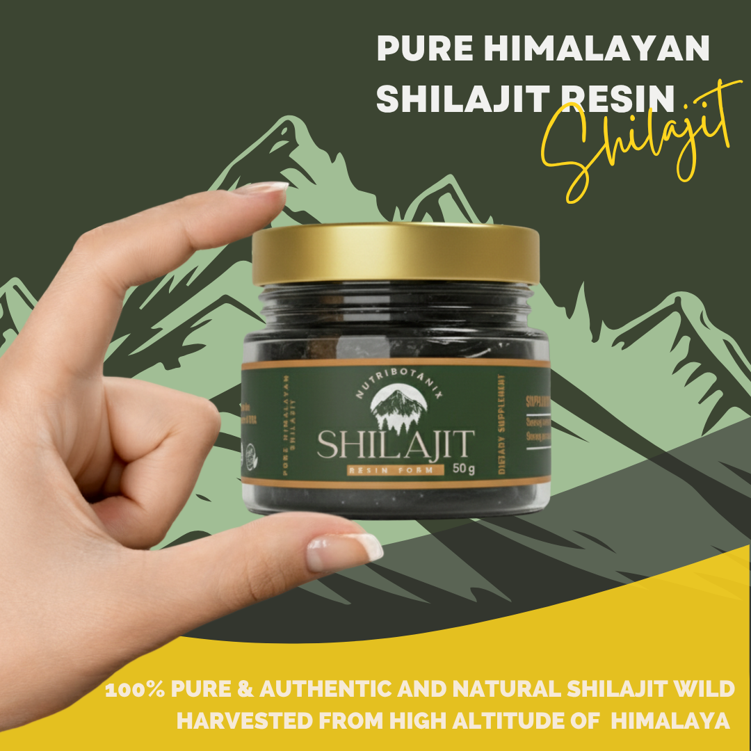 Shilajit resin